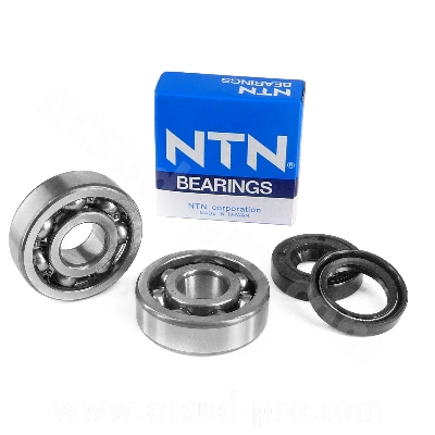 ACSUD SACIM | BEARING NTN (6303 C3 ) AND SEAL KIT TO FIT AM6